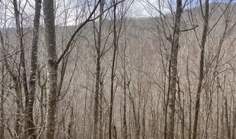 0 TBD Elleber Sods Rd, Bartow, WV 24920
