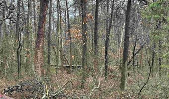 ELLY RD lot 50 81, Aroda, VA 22709