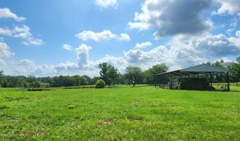 3350 SE Mt Pleasant Ln, Bogue Chitto, MS 39629