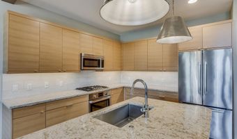 217 Overlook Rdg, Basalt, CO 81621