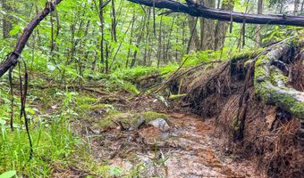9110 Gap Rd, Allenwood, PA 17810