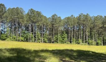 89 Golden Pond Rd, Ashville, AL 35953