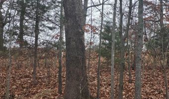 Tbd County Road East 76-211, Ava, MO 65608