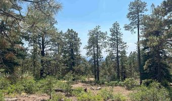 17 Snow Way Dr, Bayfield, CO 81122