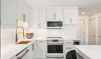 205 E Durant Ave Unit 1G, Aspen, CO 81611