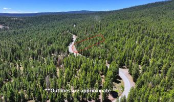 7792 California Pines Blvd, Alturas, CA 96101