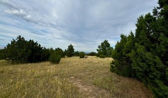 Par 18 Old Homestead Ln, Beulah, CO 81023