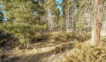 1004 And 1005 El Camino Real, Angel Fire, NM 87710
