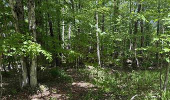 Map 5 Lot 14-3 Stockbridge Corner Road, Alton, NH 03809