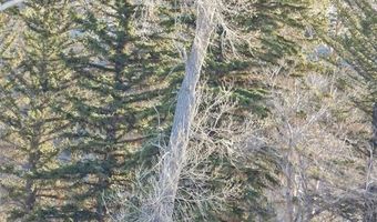 129 Stillwater Dr Lot 35, Cody, WY 82414