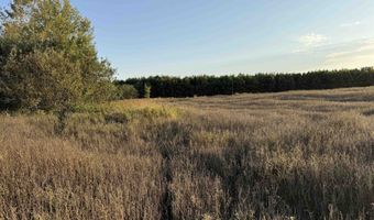 Lot 3 EAU CLAIRE RIVER ROAD, Aniwa, WI 54408