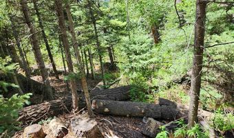 1506 Clarke Mountain Ln, Antonito, CO 81120