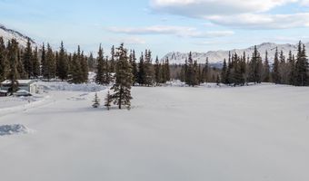 19948 W Glenn Hwy, Chickaloon, AK 99674
