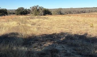 1190 N State HWY 220, Hico, TX 76457