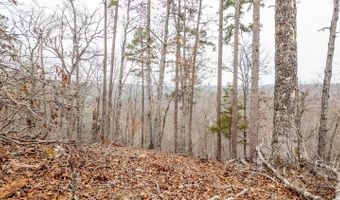 County Road 19-A, Alton, MO 65606