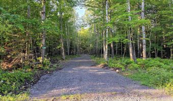 17975 Bear Lk, Hancock, MI 49930