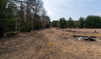 Dover Drive lot 2 +/-43 Ac, Adams, WI 53910
