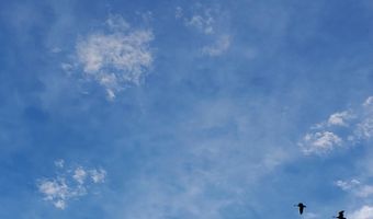 4775 S 50th Rd, Aldrich, MO 65601