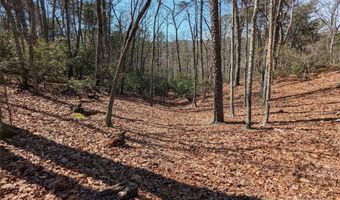 8636 Sleepy Hollow Rd 12, Connelly Springs, NC 28612