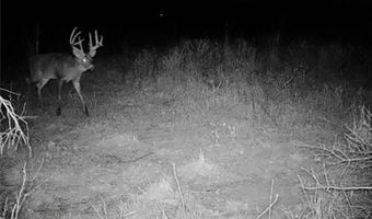 652 Nd St, Albia, IA 52531