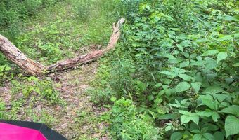 88 Acres Bolden Br, Andrews, NC 28901