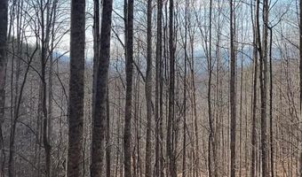 9999 One Feather Rd LOT E103, Whittier, NC 28789