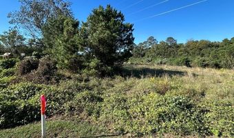 20 Ac State Hwy 95 Columbia Rd, Abbeville, AL 36310