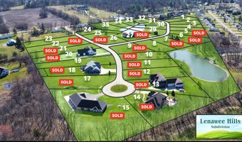 4927 Thompson Heights Dr, Adrian, MI 49221