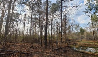 U.S. Highway 51, Bogue Chitto, MS 39629