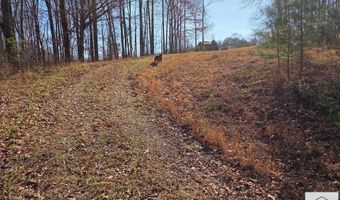 Mt Vernon Rd, Axton, VA 24054