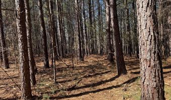 MOUNTAIN CUT RD lot A, Appomattox, VA 24522