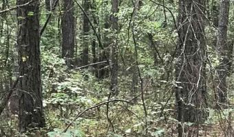 HIGHWAY 191 lot 39, Alpine, AL 35014