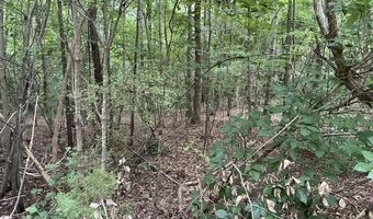 17-39 A Wendy Lane St, Amelia, VA 23002