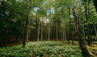 0 Weidick Rd, Andes, NY 13731