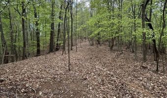 Mockingbird Ln, Bassett, VA 24055