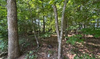 7447 Red House Rd, Appomattox, VA 24522