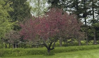 154 West St, Barton, VT 05822