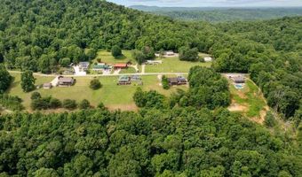 976 Livingston Boat Dock Rd, Allons, TN 38541