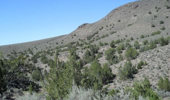 8210 Ml Crk Rd, Battle Mountain, NV 89820