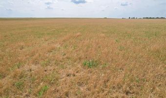 E County Rd 205 Road, Altus, OK 73521