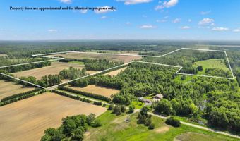 1751 BUTTERCUP Ave, Arkdale, WI 54613