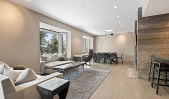 730 S Galena St, Aspen, CO 81611