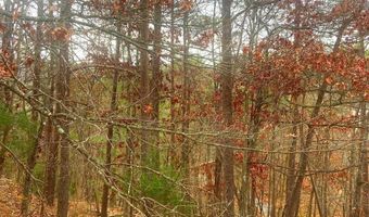 SPITZ Lane, Basye, VA 22810