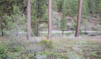 Whitetail Lane Lot 22, Bonanza, OR 97623