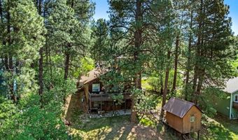 99 Mountain Oak Dr, Bayfield, CO 81122