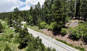 37 Enchanted Forest Dr, Bayfield, CO 81122