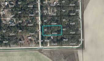 NW 11th Ave, Bell, FL 32619