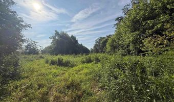 9900 N CR 800 E, Albany, IN 47320