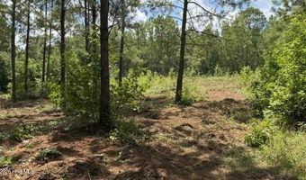 255 Menros Way, Appling, GA 30802