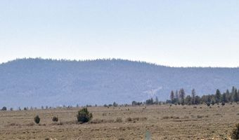 Oregon Pines Road TL 1200, Beatty, OR 97621